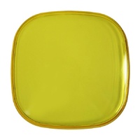 Squadron Single Rock Guard - Clear